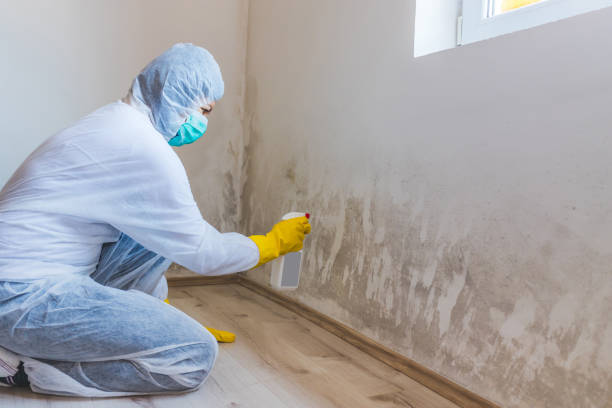 Commercial Mold Remediation assessment for commercial property in Sims